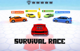 Survival Race img