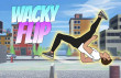 Wacky Flip img
