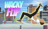 Wacky Flip background